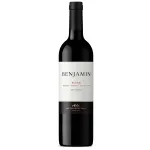 Benjamin Nieto Senetiner Blend