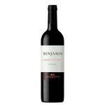 Benjamin Nieto Senetiner Cabernet Sauvignon