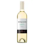 Benjamin Nieto Senetiner Chardonnay