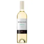Benjamin Nieto Senetiner Torrontes