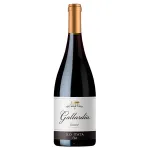 De Martino Gallardia