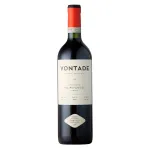 Gonzalo Guzman Vontade Cabernet Sauvignon