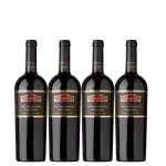Kit Vertical Don Maximiano Founder´s 11/13/15/21
