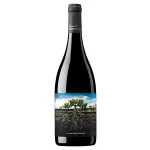 La Garnacha Salvaje Del Moncayo