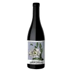 Riccitelli Gualtallary Cabernet Franc