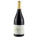 Ventisquero Pangea Syrah